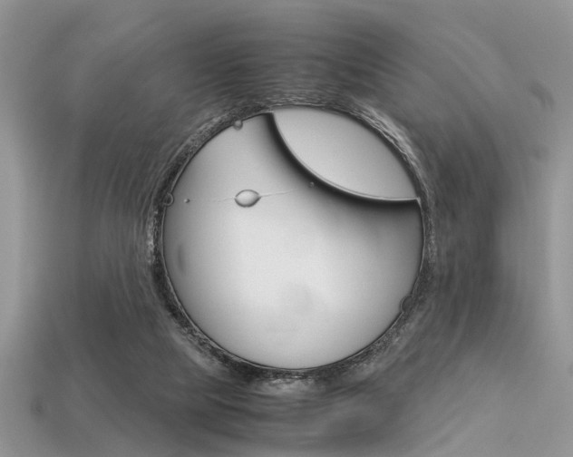 X0000113600065200909181117