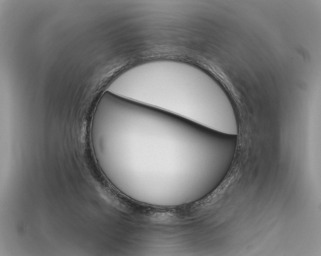 X0000113600066200909181117