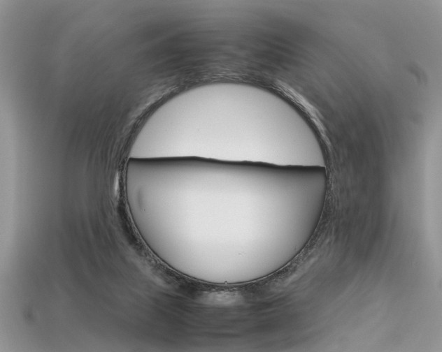 X0000113600067200909181118