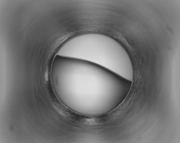 X0000113600068200909181118