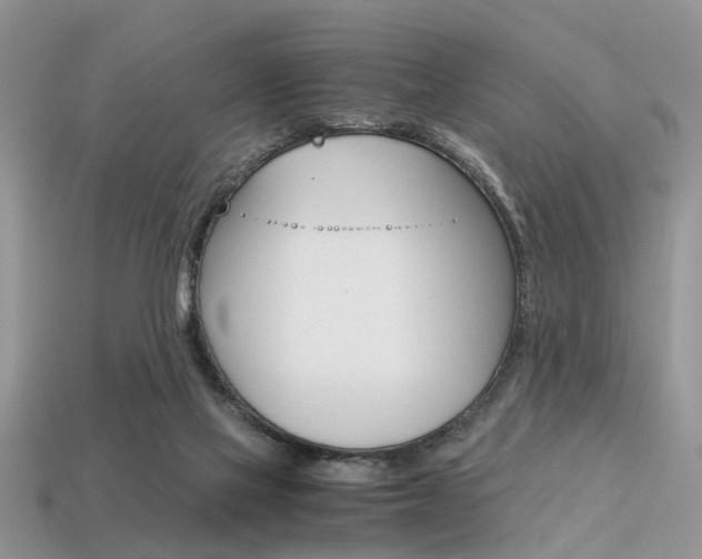 X0000113600069200909181118