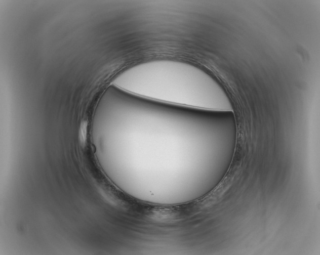 X0000113600070200909181118