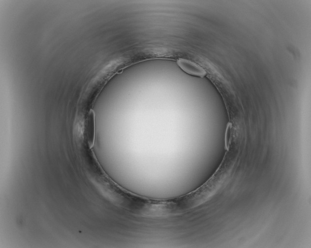 X0000113600072200909181118