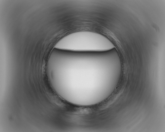 X0000113600073200909181118