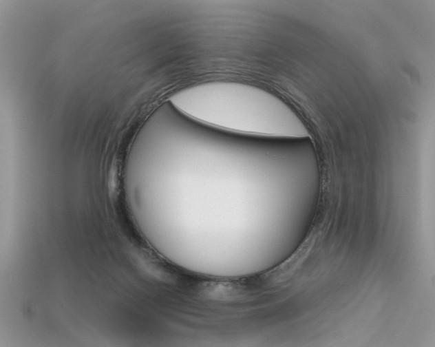 X0000113600074200909181118