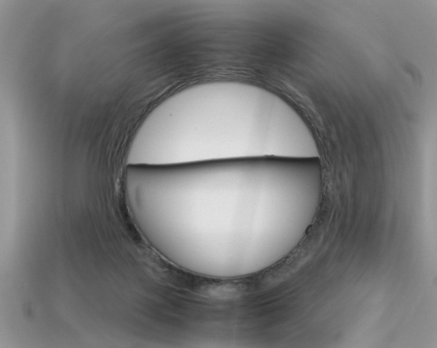 X0000113600075200909181118