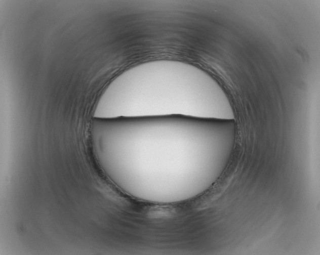 X0000113600077200909181118