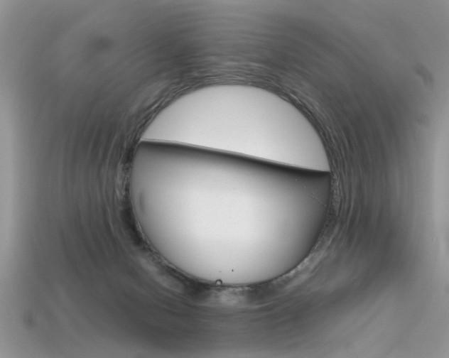 X0000113600078200909181118