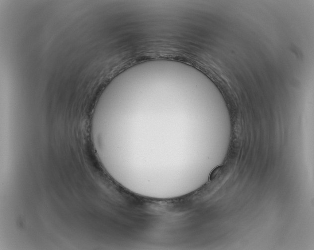 X0000113600079200909181118