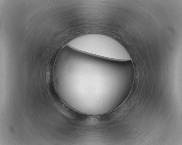 X0000113600080200909181118