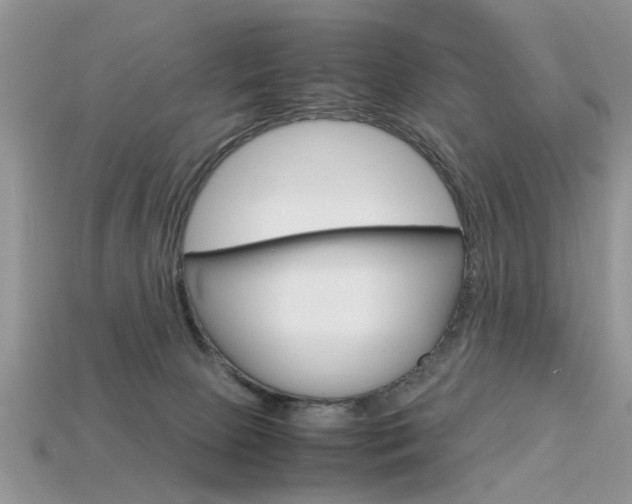 X0000113600081200909181118