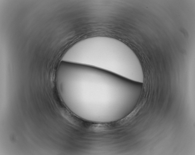 X0000113600082200909181118