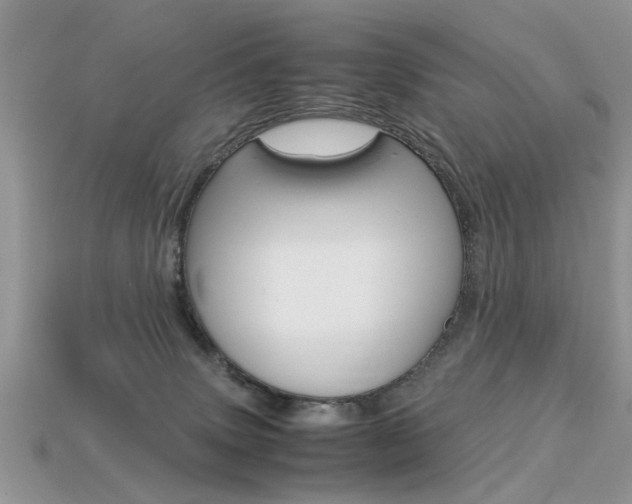 X0000113600083200909181118