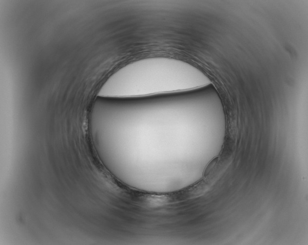 X0000113600085200909181118