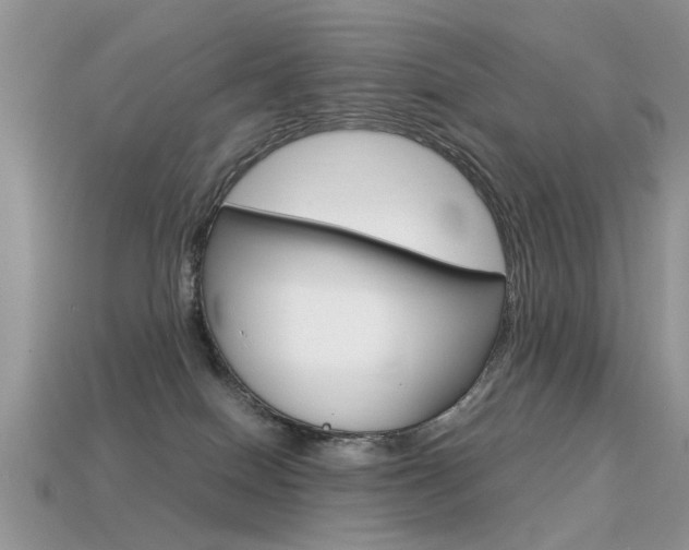 X0000113600086200909181118