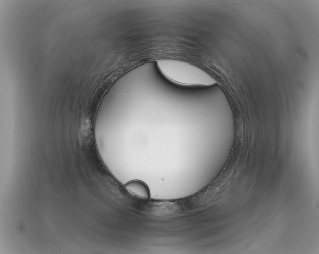 X0000113600087200909181118