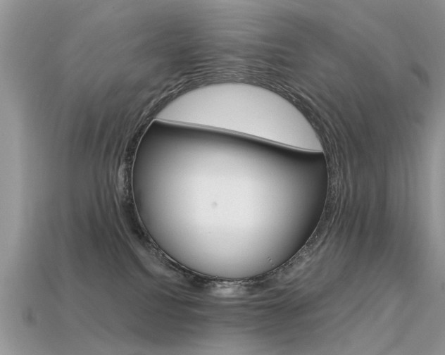 X0000113600088200909181118