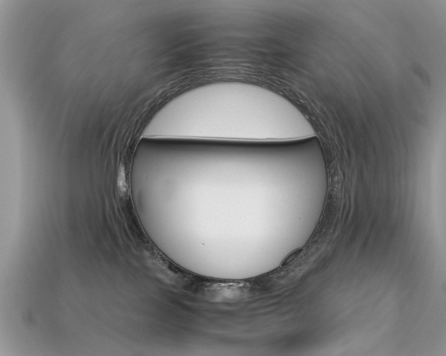 X0000113600089200909181118