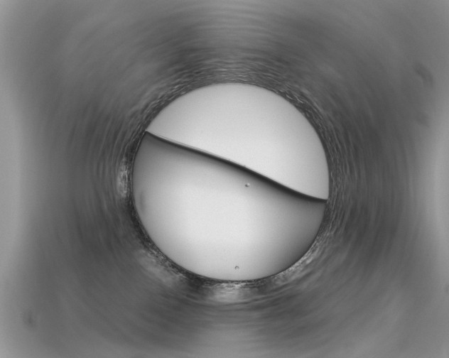 X0000113600090200909181118