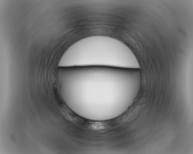 X0000113600091200909181118