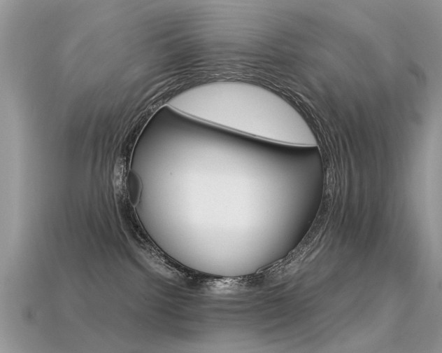 X0000113600092200909181118