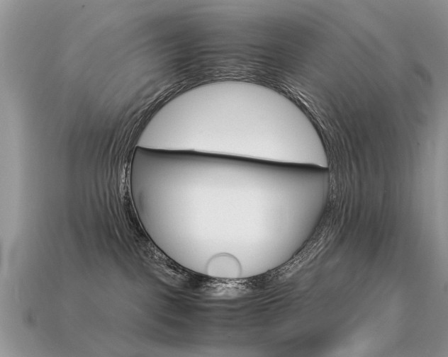 X0000113600093200909181118