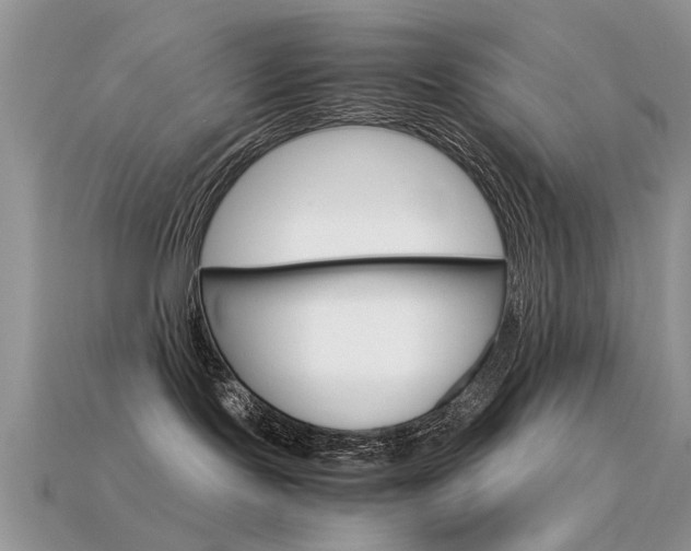 X0000113600095200909181118