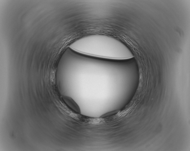 X0000113600096200909181118