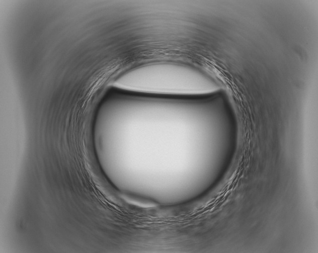 X0000113600097200909181117