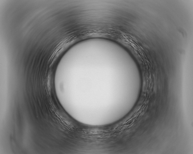 X0000113600098200909181117