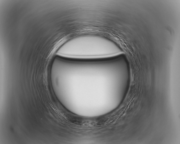 X0000113600099200909181117