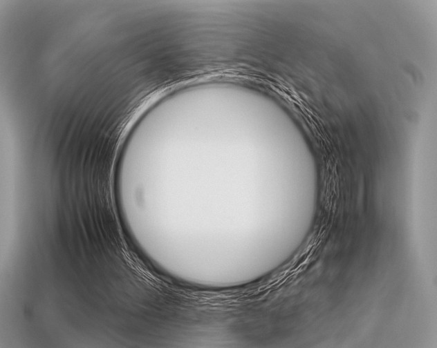 X0000113600100200909181117