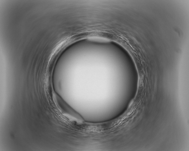 X0000113600101200909181117