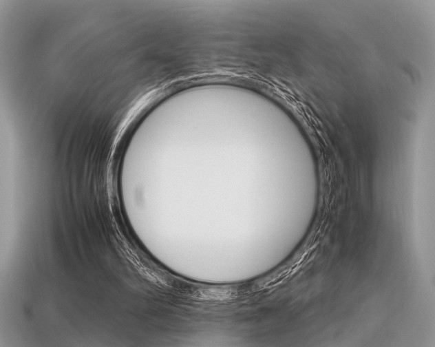 X0000113600102200909181117