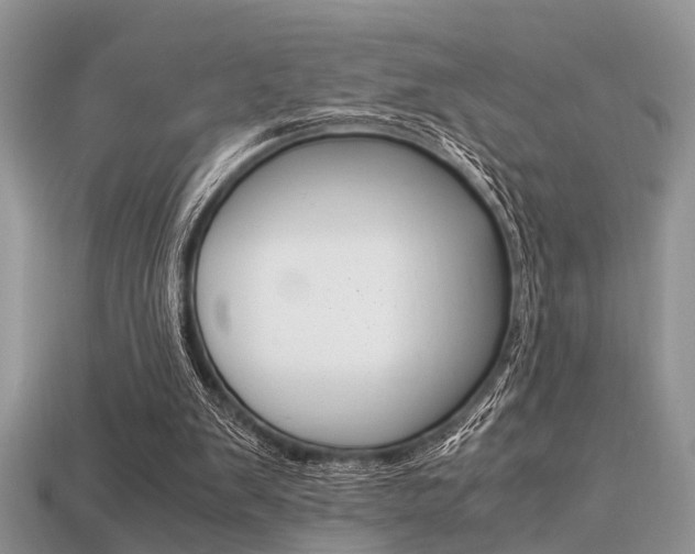 X0000113600103200909181117