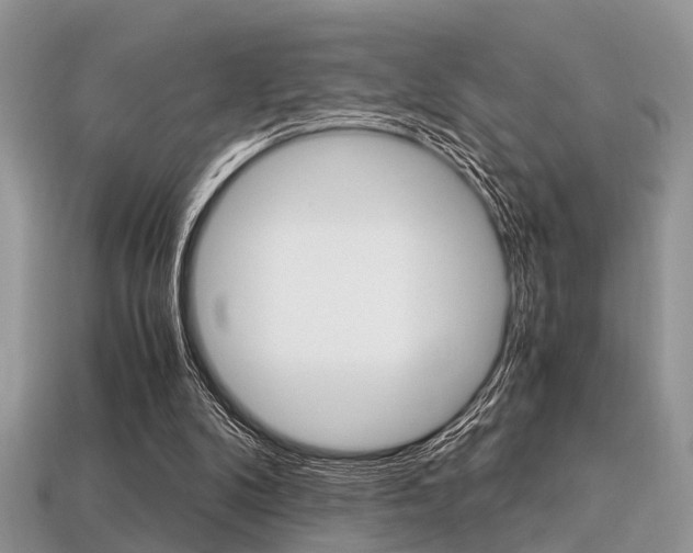 X0000113600104200909181117