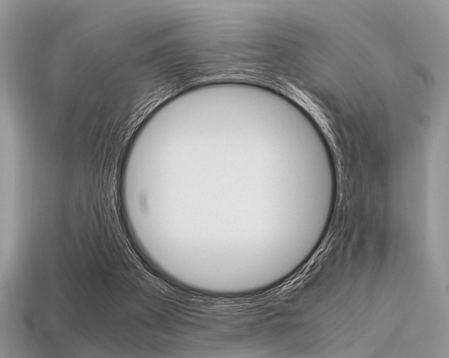 X0000113600105200909181117