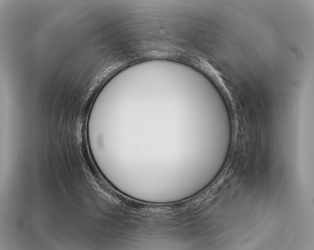 X0000113600106200909181117