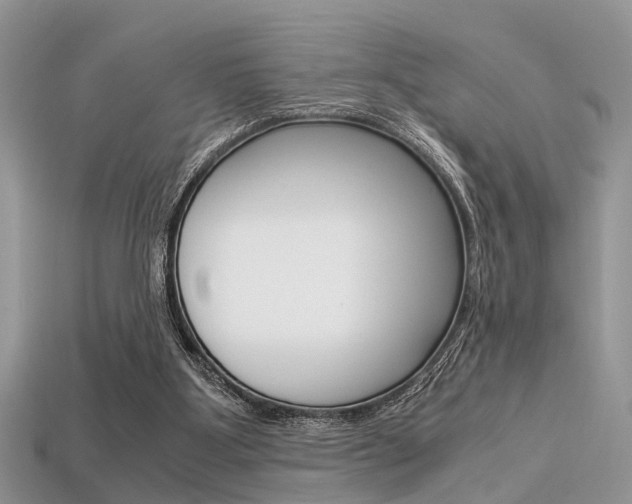 X0000113600107200909181117