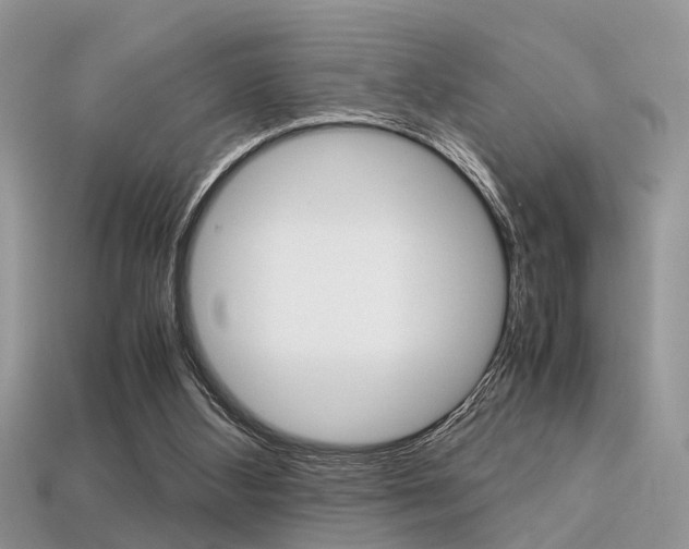 X0000113600108200909181117