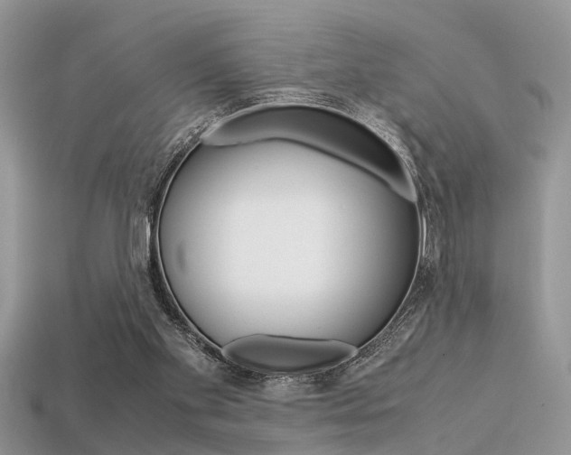 X0000113600109200909181117