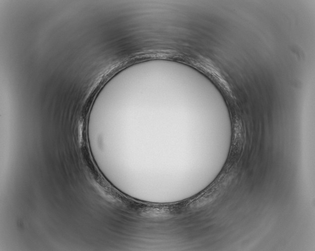 X0000113600110200909181117