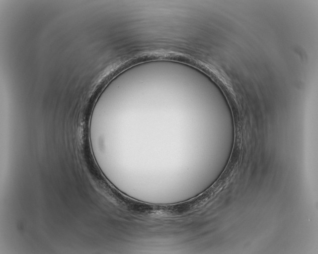 X0000113600111200909181117