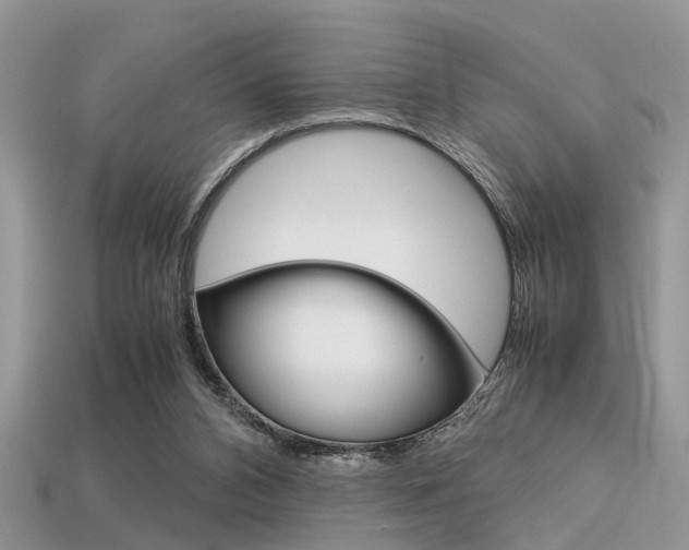 X0000113600112200909181117