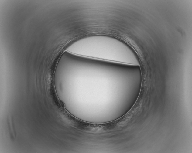 X0000113600113200909181117