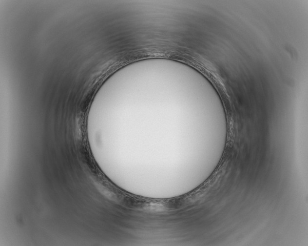 X0000113600114200909181117