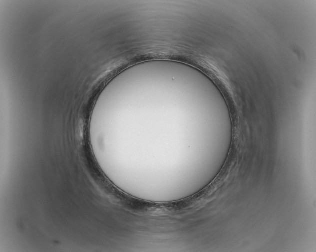 X0000113600115200909181117