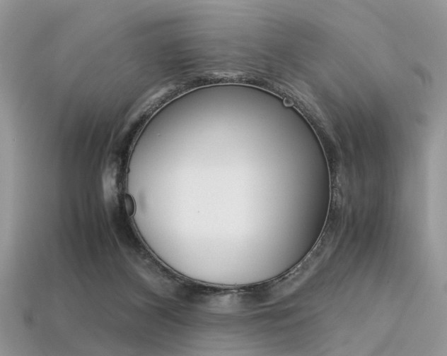 X0000113600116200909181117