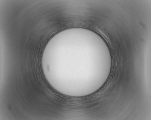 X0000113600117200909181117