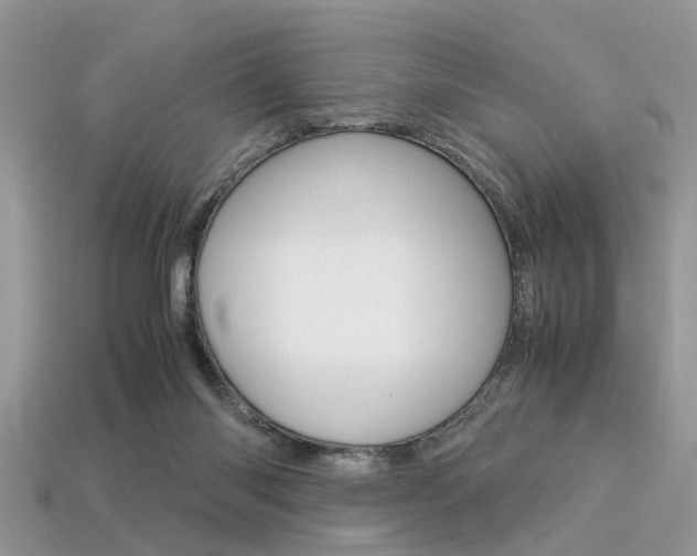 X0000113600118200909181117